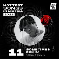 Hottest Nigerian songs 2022 TI Blaze
