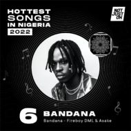Hottest Nigerian songs 2022 Fireboy DML