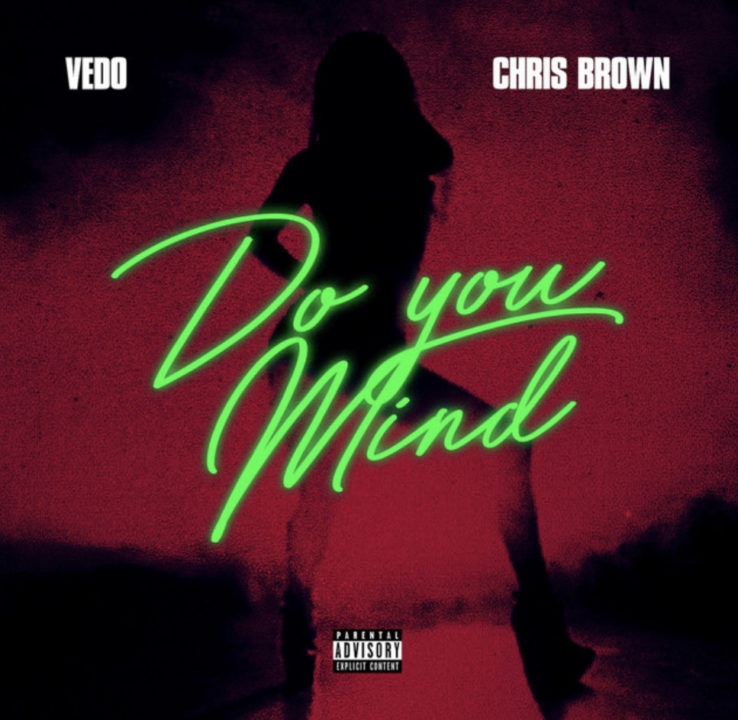 Do You Mind Lyrics by Vedo & Chris Brown
