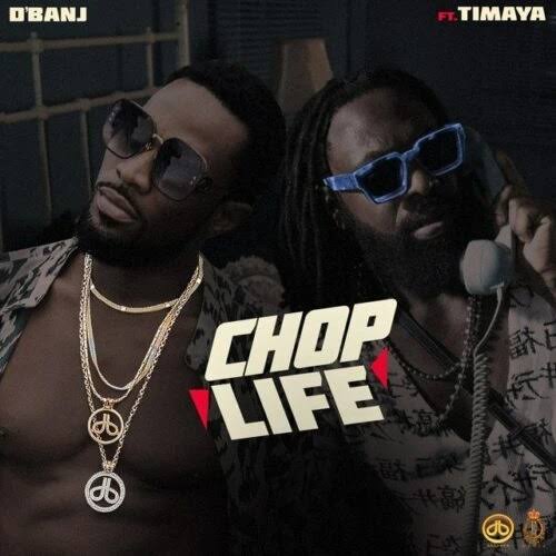 Chop Life Lyrics by DBanj Feat Timaya