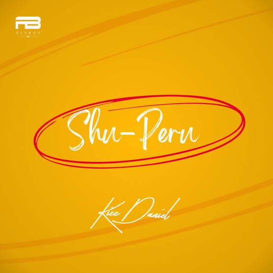 Shu Peru Lyrics by Kizz Daniel