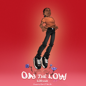 Official On The Low Lyrics by Lil Frosh