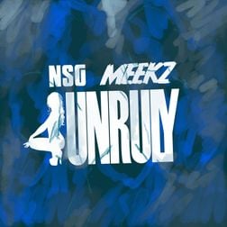 Unruly Lyrics by NSG & Meekz