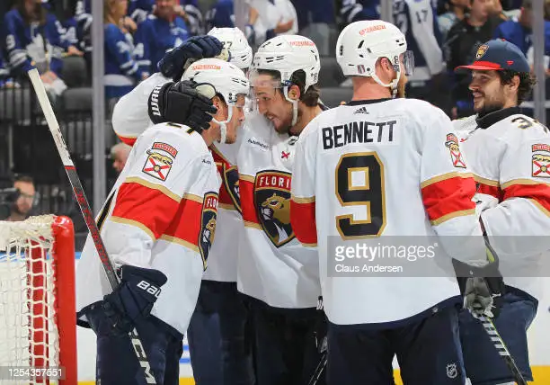 National Hockey League Players Celebrating a goal