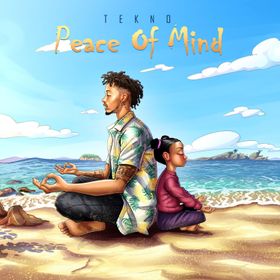 Peace Of Mind Lyrics by Tekno
