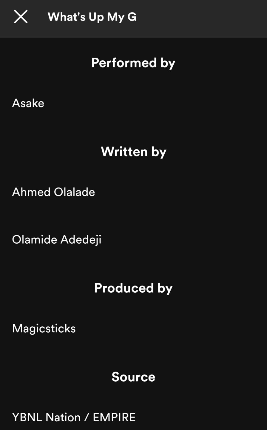 Olamide Asake 'Work Of Art'