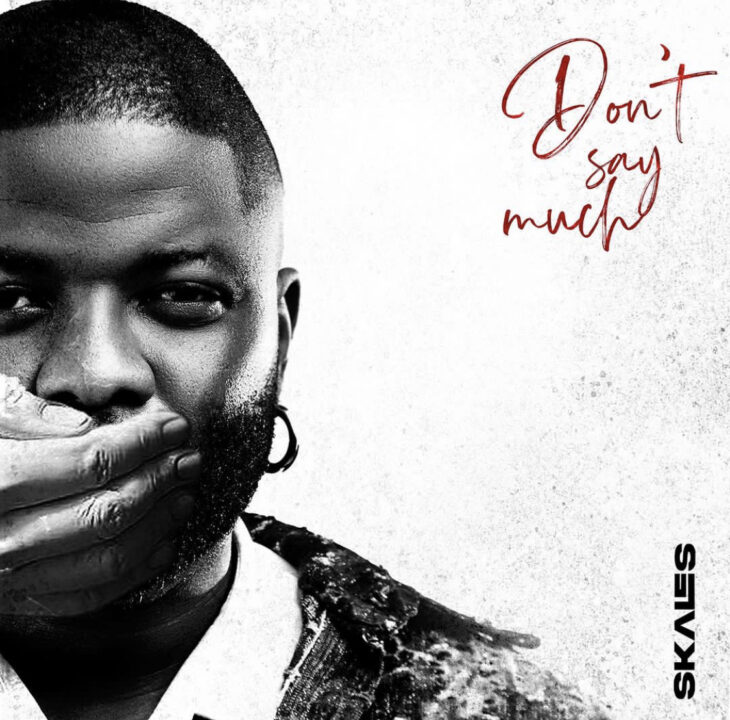 Dont Say Too Much Lyrics by Skales
