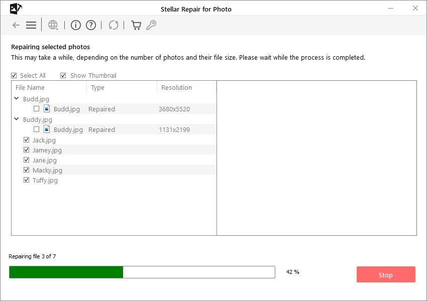 Stellar Repair for Photo Repair Selection  Interface