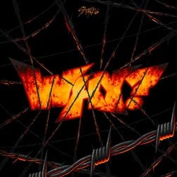 Cover art for WHY by Stray Kids
