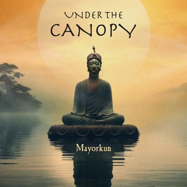 Cover Art for Under The Canopy by Mayorkun