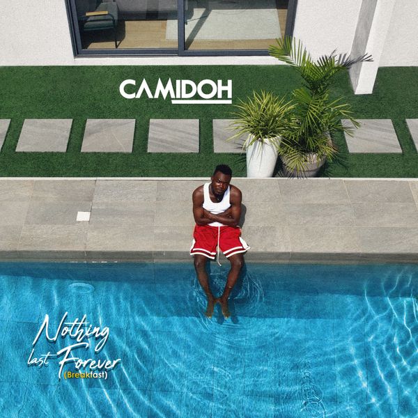 Cover art for NLF by Camidoh