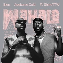 Cover art for Wahala by Bien featuring Adekunle Gold and ShineTWW