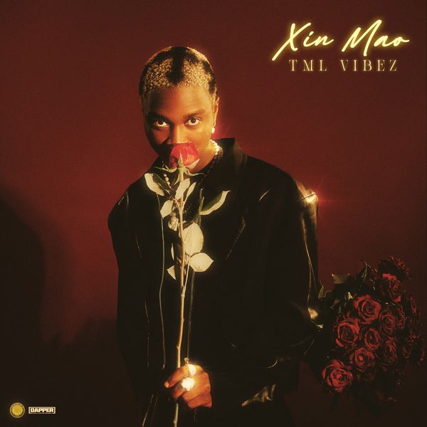 Cover art for Xin Mao EP by Tml Vibez