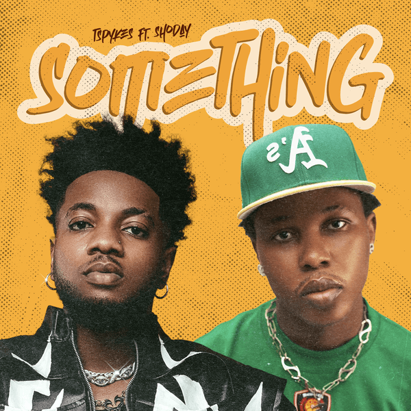 Cover art for Something Something Remix by Tsykes featuring Shoday