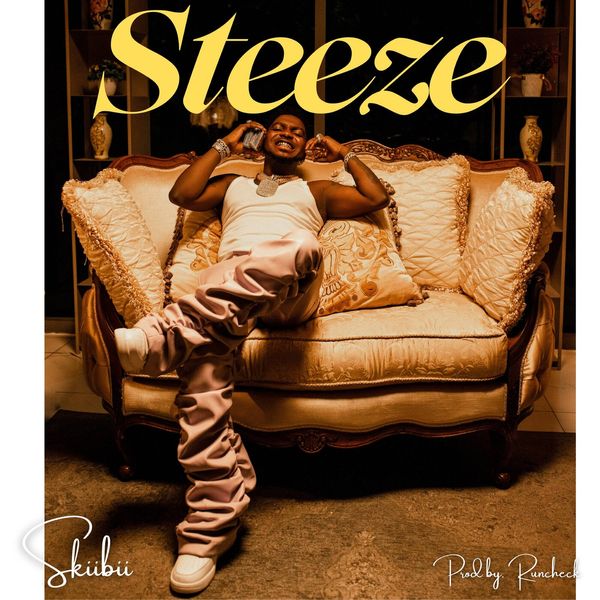 Cover art for Steeze by Skiibii