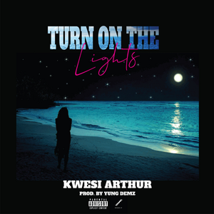 Cover art for Turn On The Lights by Kweku Arthur