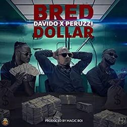 Cover art for Dollar by B Read featuring Davido and Peruzzi