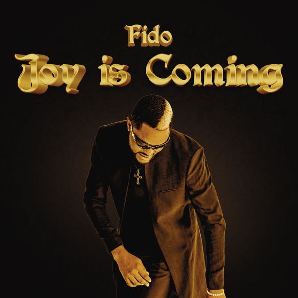 Cover art for Joy Is Coming by Fido