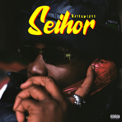 Cover art for Seihor by Darkovibes