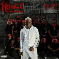 Cover art for Prince Of The Street Album by Ayo Maff