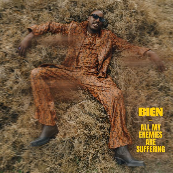 Cover Art for All My Enemies Are Suffering by Bien