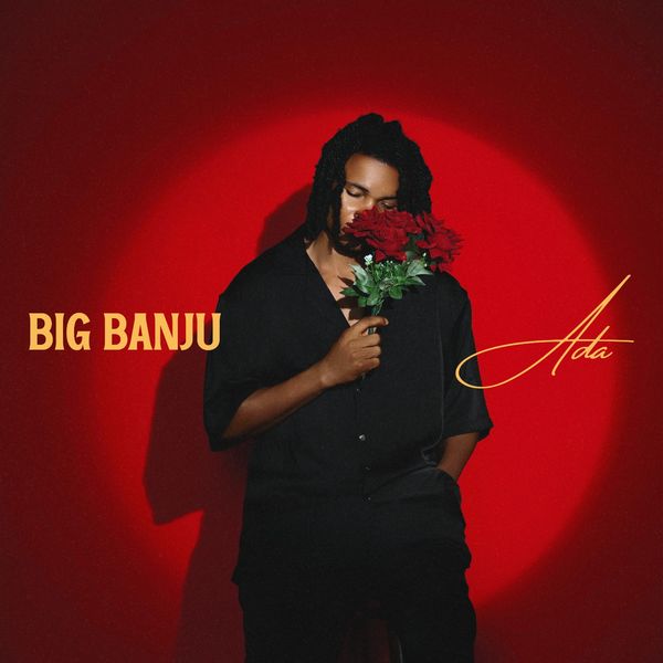 Cover art for ADA by Big Banju