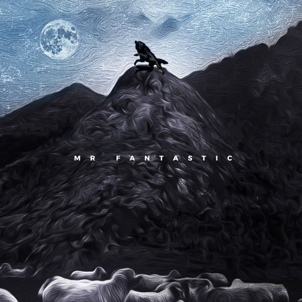 Cover art for Mr Fantastic by MI Abaga