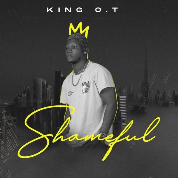 Cover art for Shameful by King OT
