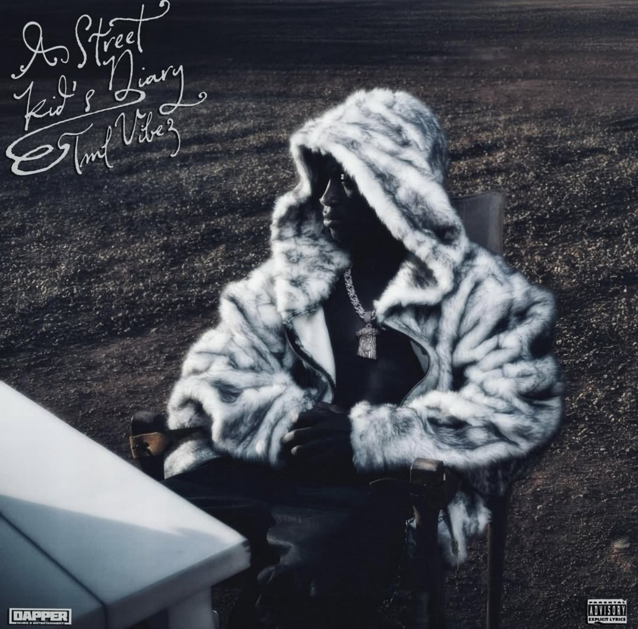 Cover art for A Street Kids Dairy album by Tml Vibez