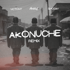 Cover art for Akonuche Remix by Priesst featuring Shoday and Victony