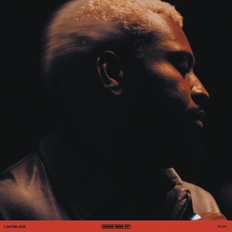 Cover art for God Did It by Limoblaze