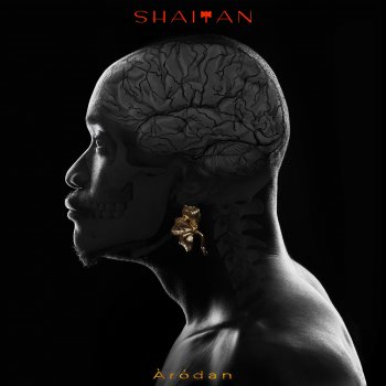 Cover art for SHAITAN Arodan EP by Brymo