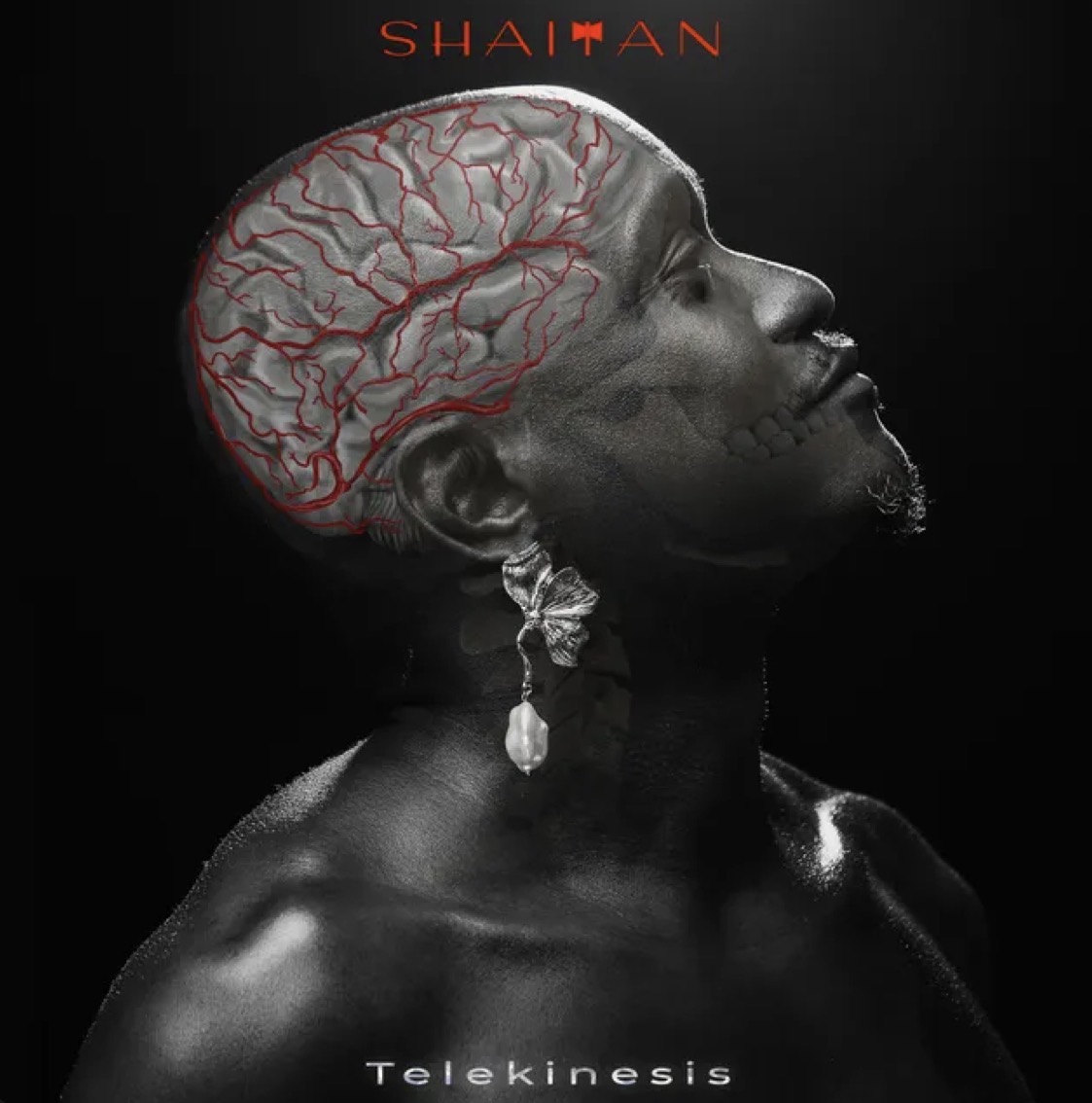 Cover art for Shaitan Telekinesis EP by Brymo