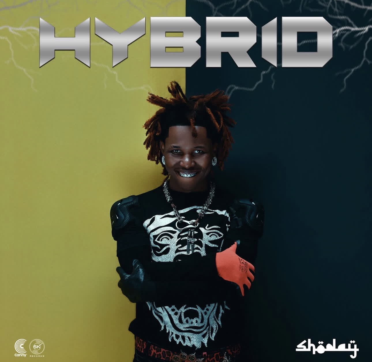 Cover art for Hybrid Album by Shoday