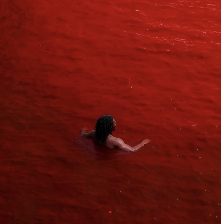 Cover art for Beautiful Anthem The Red Genesis Album by Elvinthedon