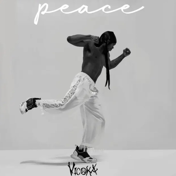 Cover art for Peace by Vicoka