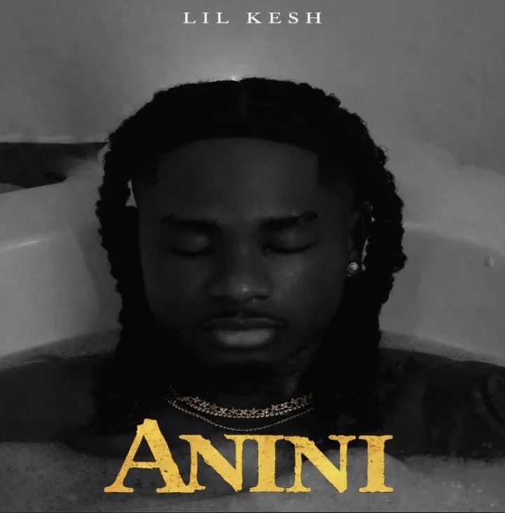 Cover art for Anini by Lil Kesh