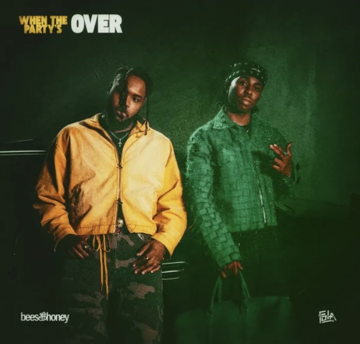 When The Party's Over Lyrics by bees & honey Feat. FOLA