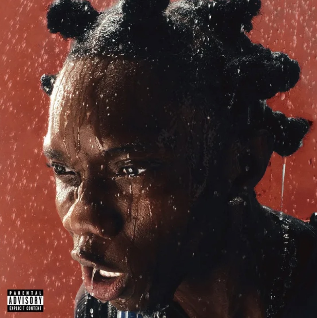 Cover art for FINE SHYT by Blaqbonez featuring TML Vibez