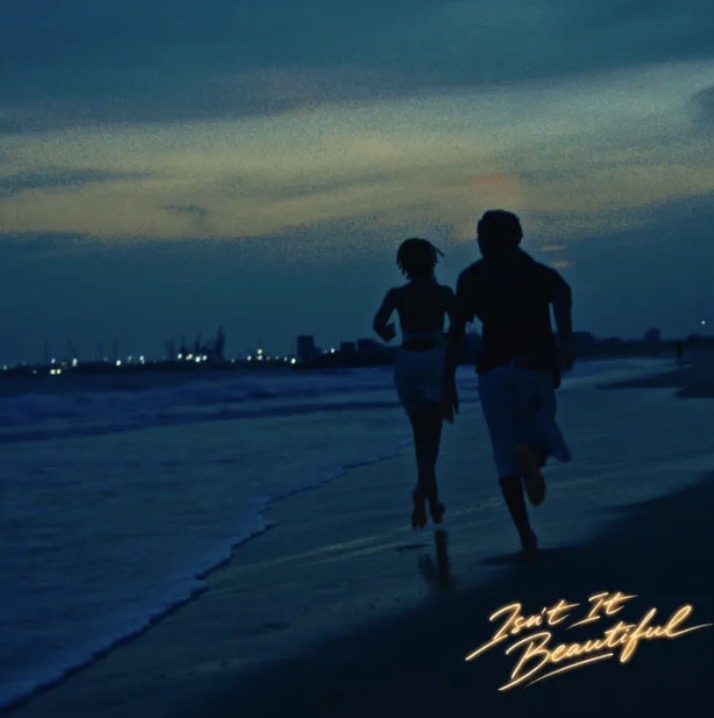 Cover art for Isnt It Beautiful by Taves