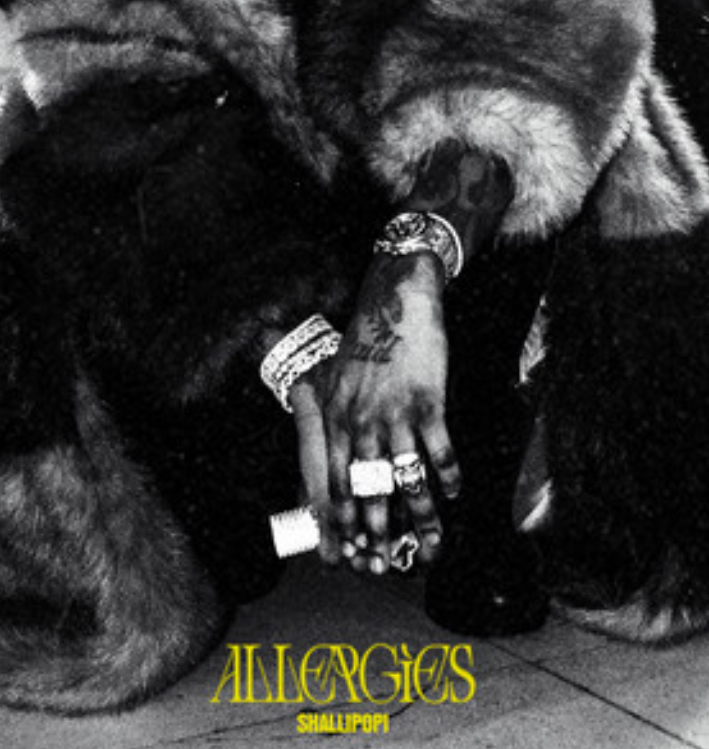 Allergies Lyrics by Shallipopi
