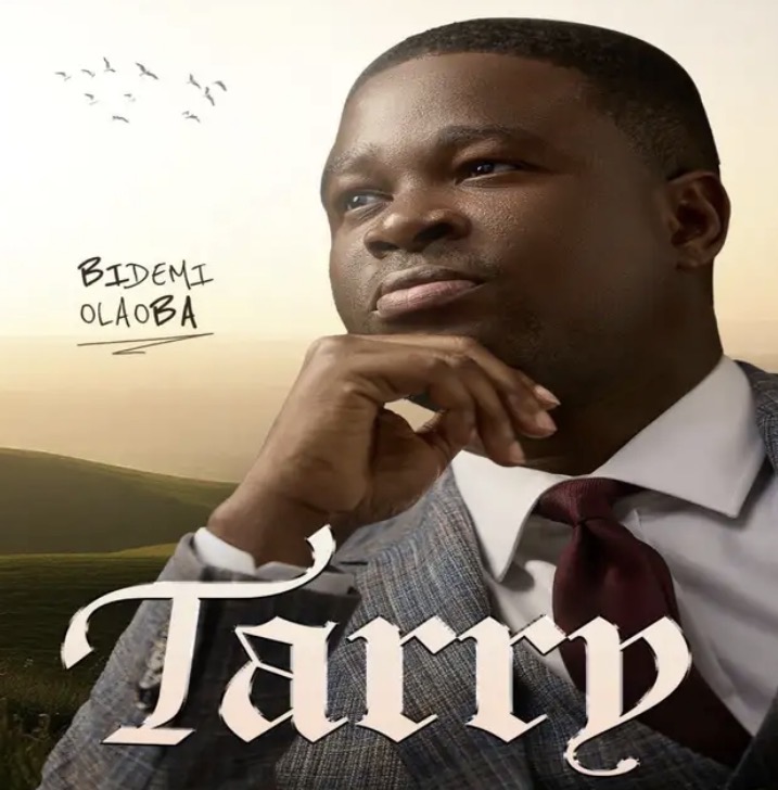 Cover art for I Will Tarry by Bidemi Olaoba
