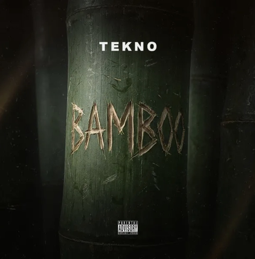Cover Art for Bamboo by Tekno