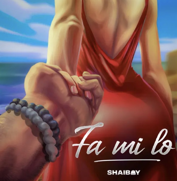 Cover art for Fa Mi Lo lyrics by Shaiboy