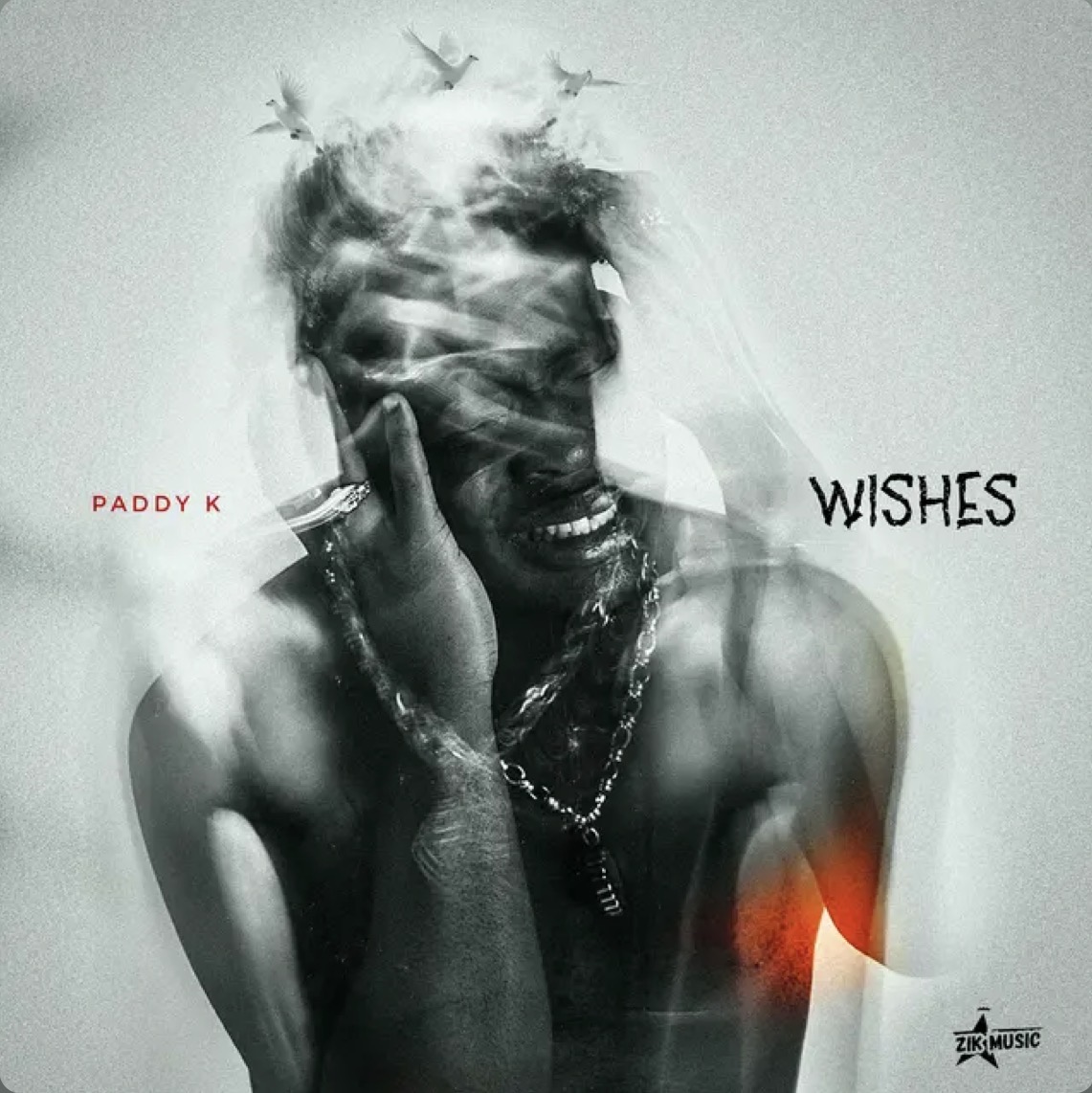Cover art for Wishes lyrics by PaddyK