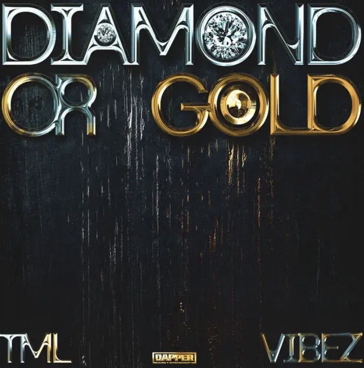 Diamond or Gold Lyrics by Tml Vibez